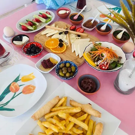 Lale 酒店 阿拉恰特