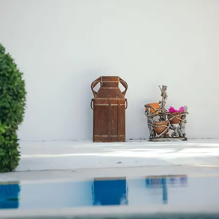 酒店 Lale 阿拉恰特