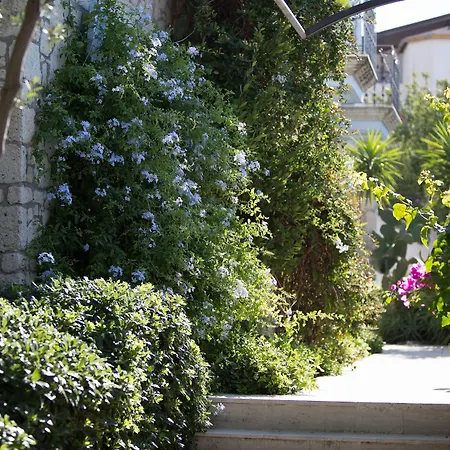 Lale Ξενοδοχείο